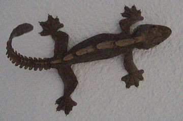 Flying Gecko